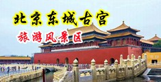 逼逼毛黄片国产中国北京-东城古宫旅游风景区